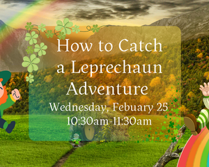 Collection image for: KCStYleS