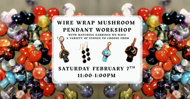 02/07 Wire wrap workshop