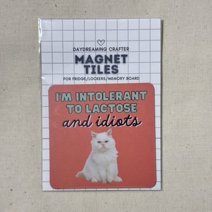 Magnet Tiles- intolerant to lactose & idiots