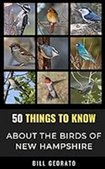 50 Things to Know about the Birds of New Hampshire