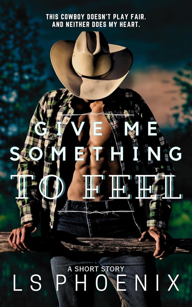 Give Me Something to Feel - Southern Heat series