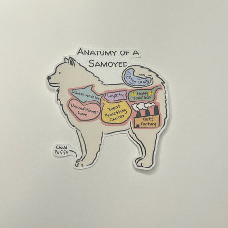 Anatomy of a Samoyed Sticker