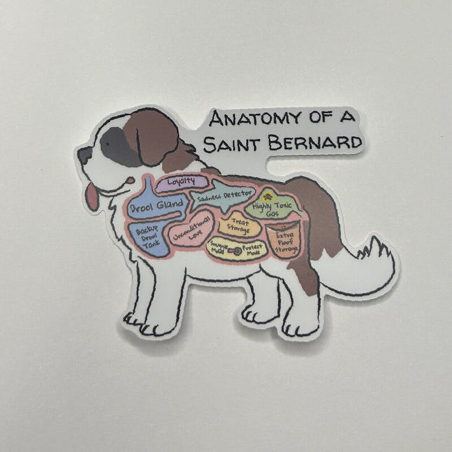 Anatomy of a Saint Bernard Sticker