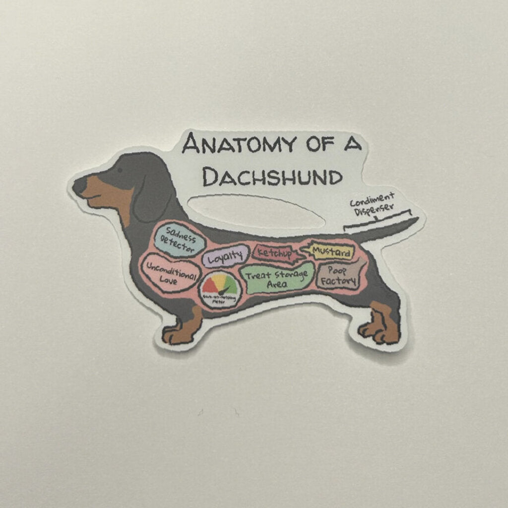 Anatomy of a Dachshund Sticker