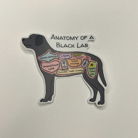 Anatomy of a Black Lab Sticker