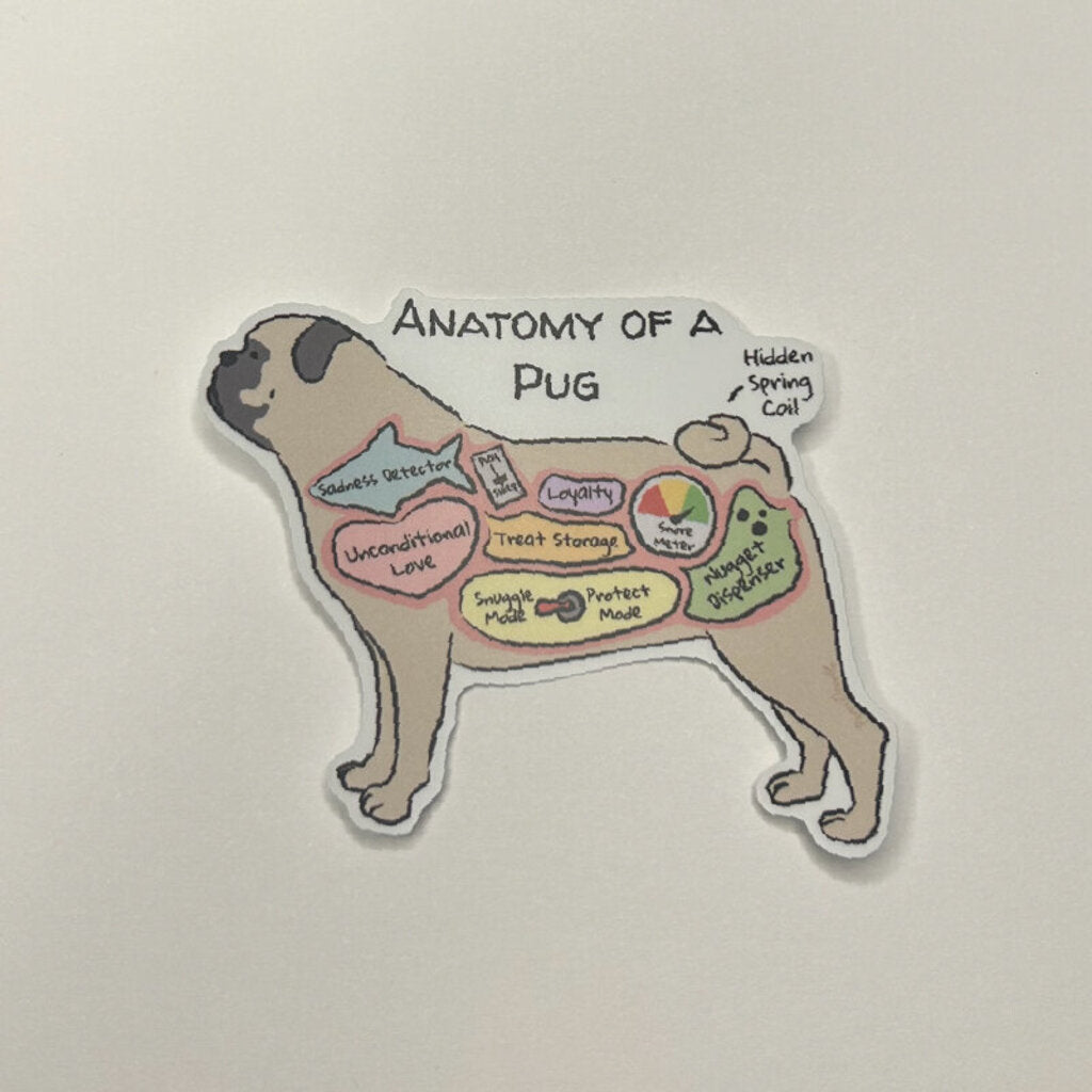 Anatomy of a Pug Sticker