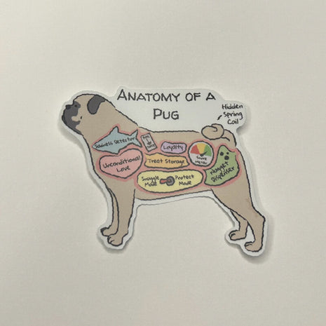 Anatomy of a Pug Sticker