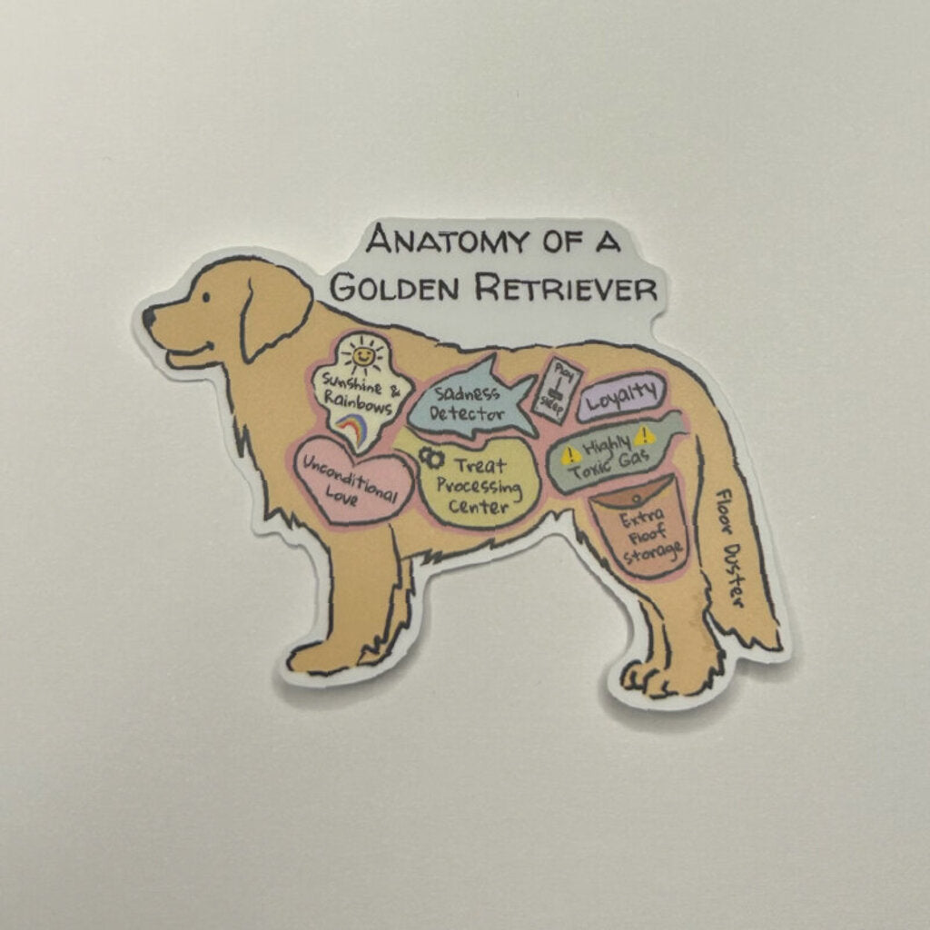 Anatomy of a Golden Retriever Sticker