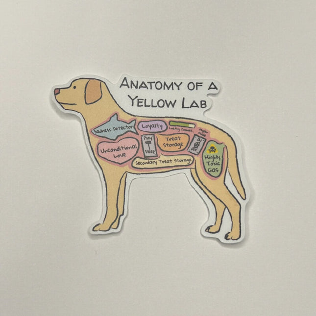 Anatomy of a Yellow Lab Sticker