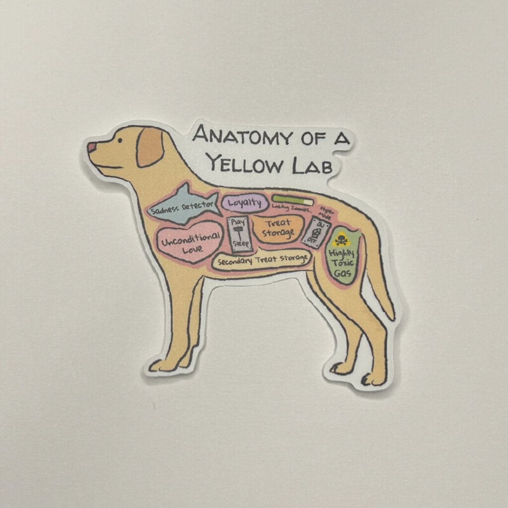 Anatomy of a Yellow Lab Sticker