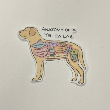 Anatomy of a Yellow Lab Sticker