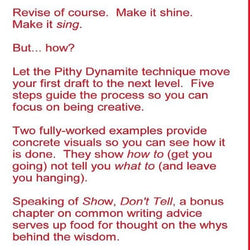 Pithy Dynamite - view 2