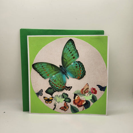 Birthday/Double Rotating mechnism/Butterflies