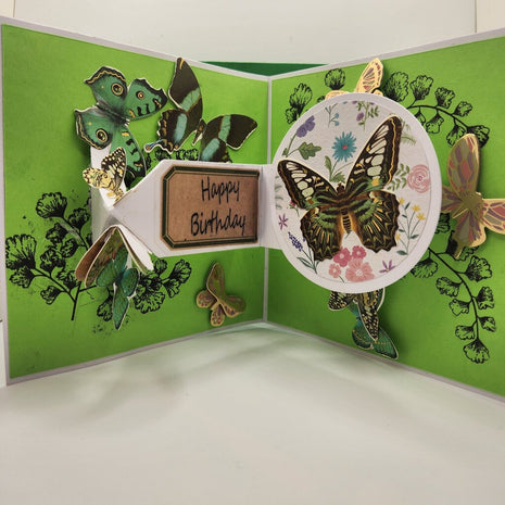Birthday/Double Rotating mechnism/Butterflies