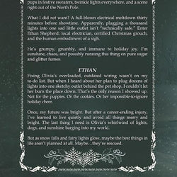 A Very Merry Rescue - view 2