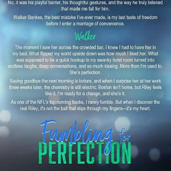 Fumbling of Perfection - view 2
