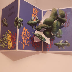 Birthday/Coral Reef - view 2