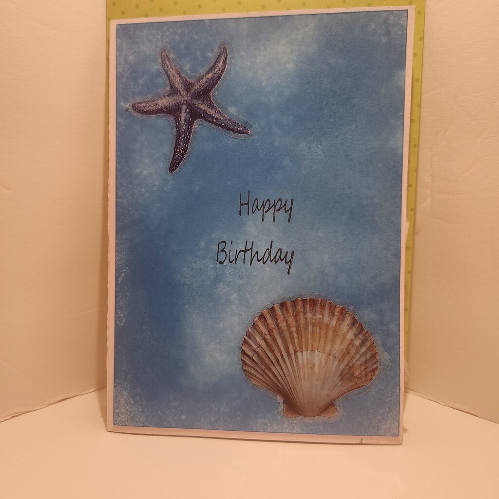 Birthday/Ocean Life