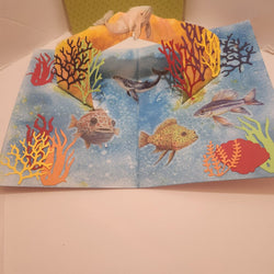 Birthday/Ocean Life - view 2