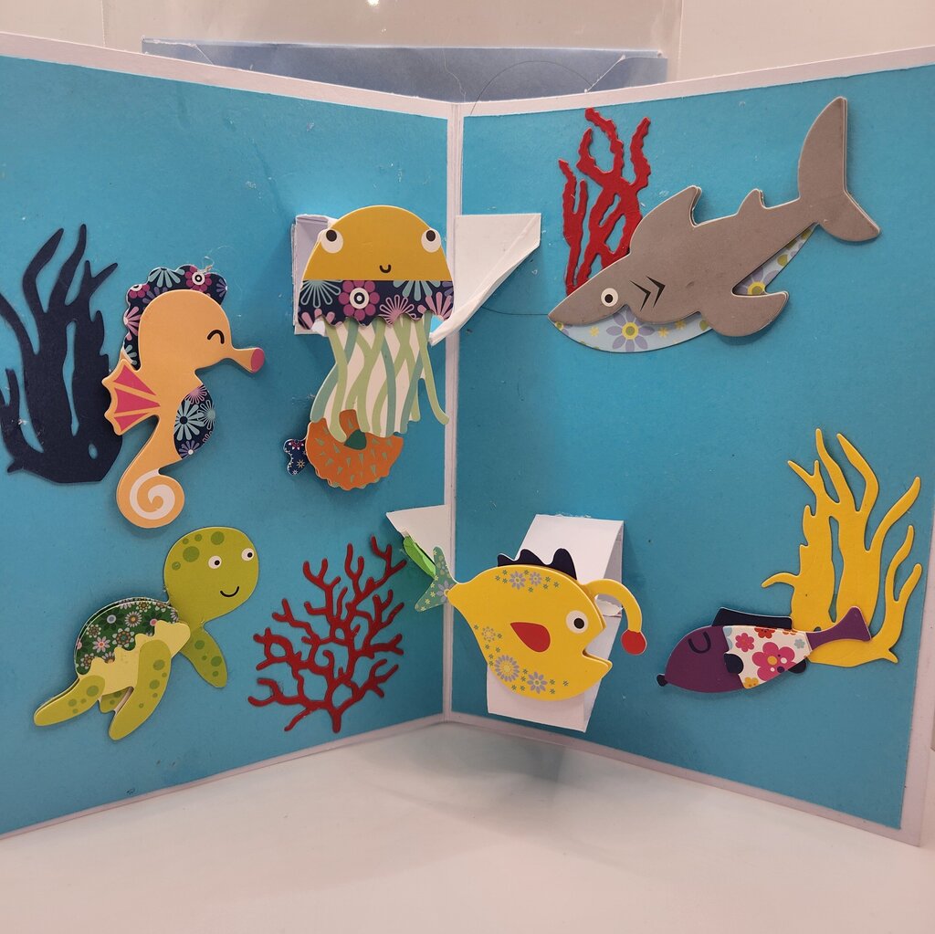Birthday /Undersea Celebration