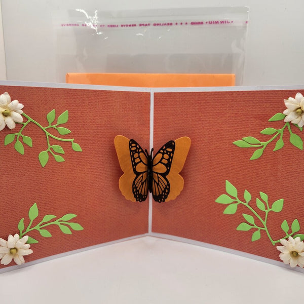 Flutterflies/Dreams Big