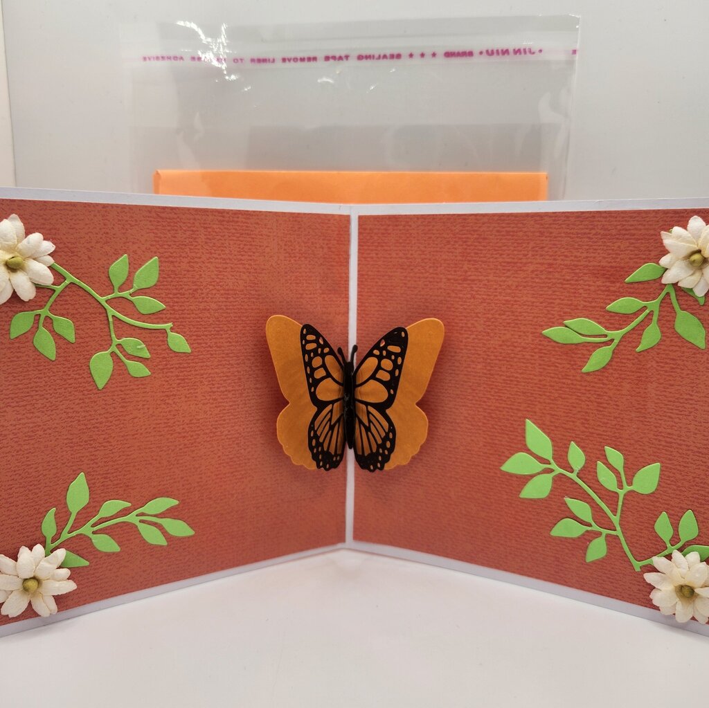 Flutterflies/Dreams Big