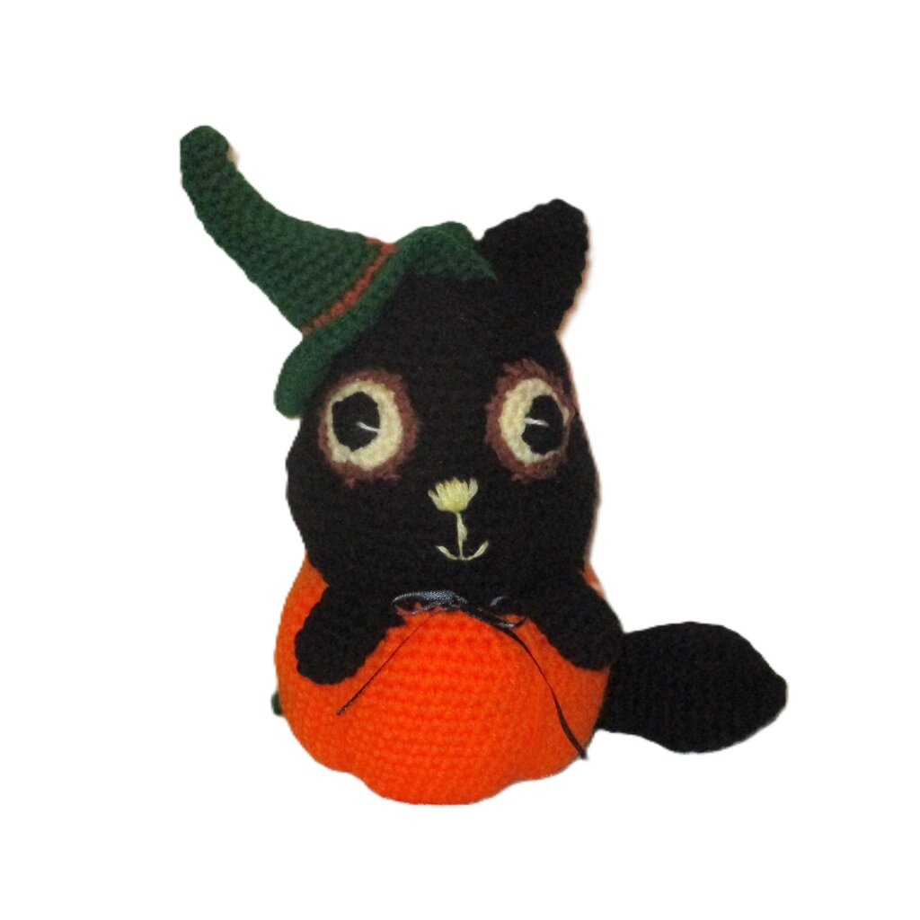 Pumpkin Cat