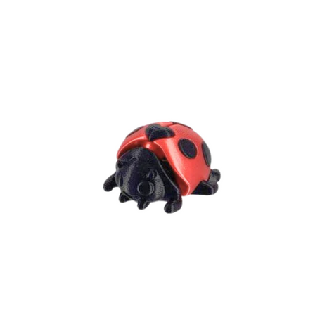 MINI LADYBUG MMU RED/BLACK
