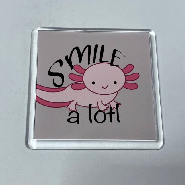 SMILE ALOTL MAGNET