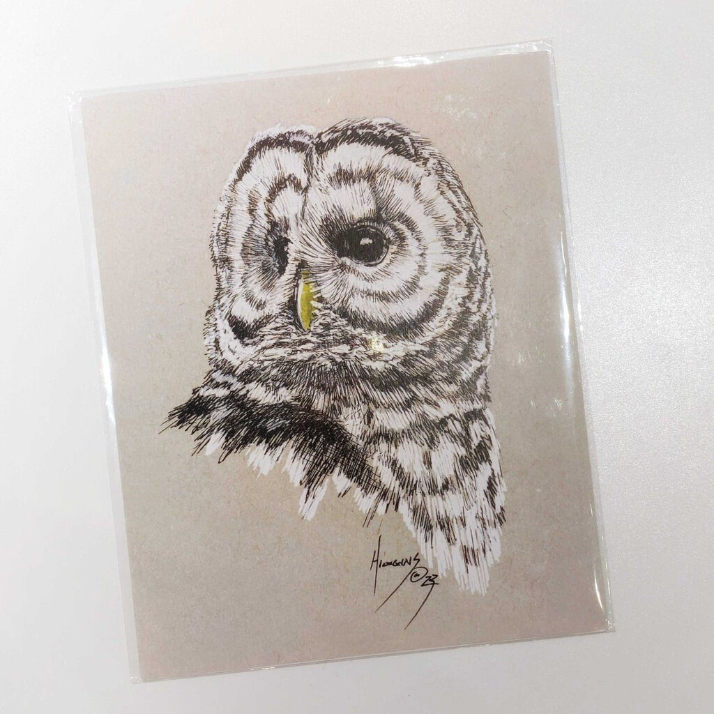 Barred Owl 23 Art Print