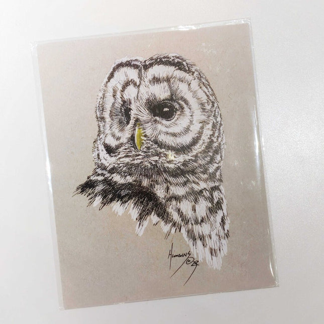 Barred Owl 23 Art Print