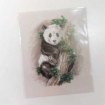 Panda 23 Art Print