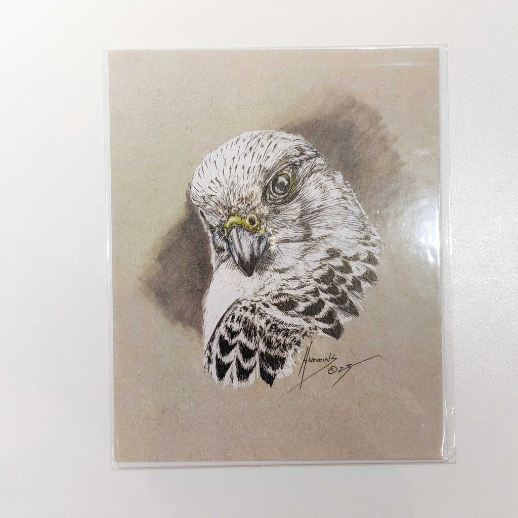 Falcon Art Print