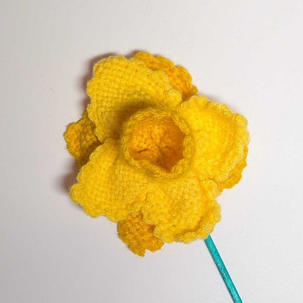 Daffodillie Flower Stem