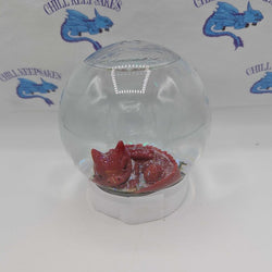 Snow Globe - view 1