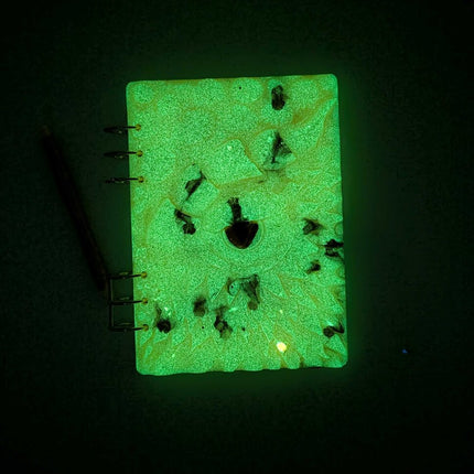 Dragon Notebook Gift Set