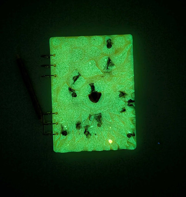 Dragon Notebook Gift Set