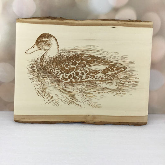 Mallard Duck Swimming Live Edge Wood Plaque