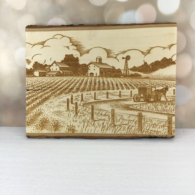 CARRIAGE RIDE COUNTRY SIDE