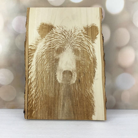 BROWN BEAR FACE
