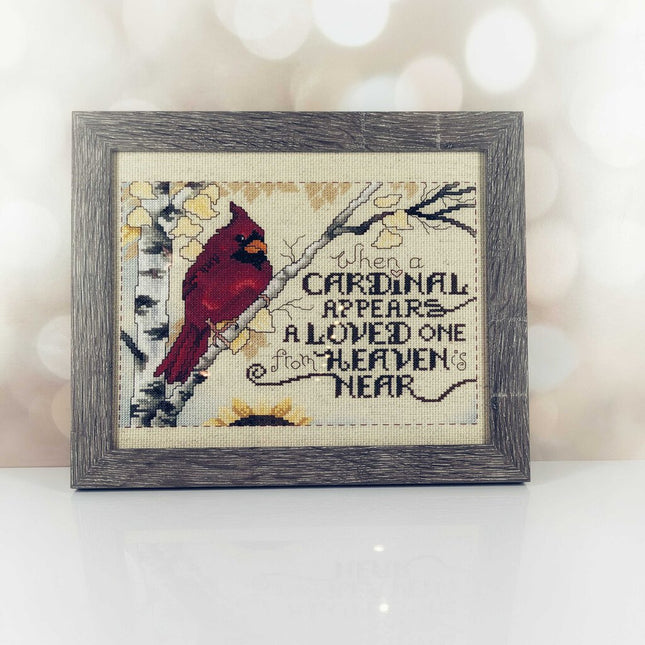 WHEN A CARDINAL APPEARS