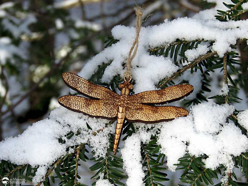 DRAGONFLY ORNAMENT