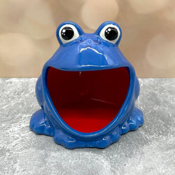Frog Scrubby Blue - view 1