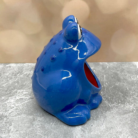 Frog Scrubby Blue