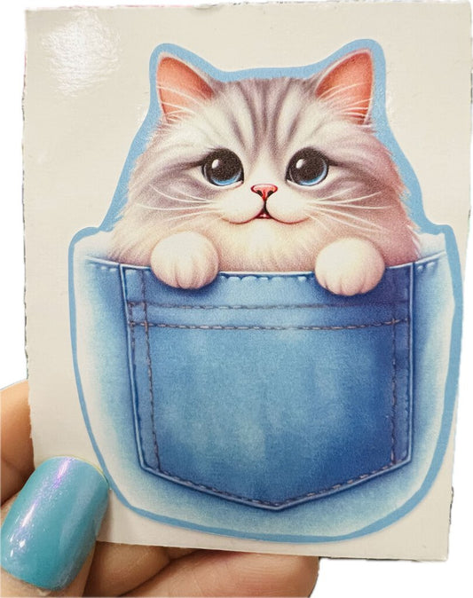 Sticker - American Shorthair Pocket