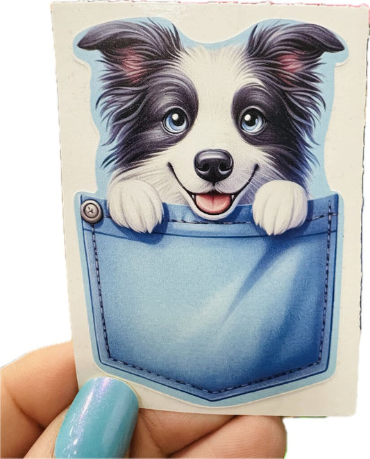 Sticker - Border Collie Pocket