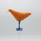 Orange with royal blue and steel blue legs