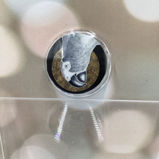 The Avian Tarot Pins