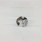 The Star | Dove / New