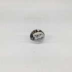 The Sun | Peregrine Falcon / New